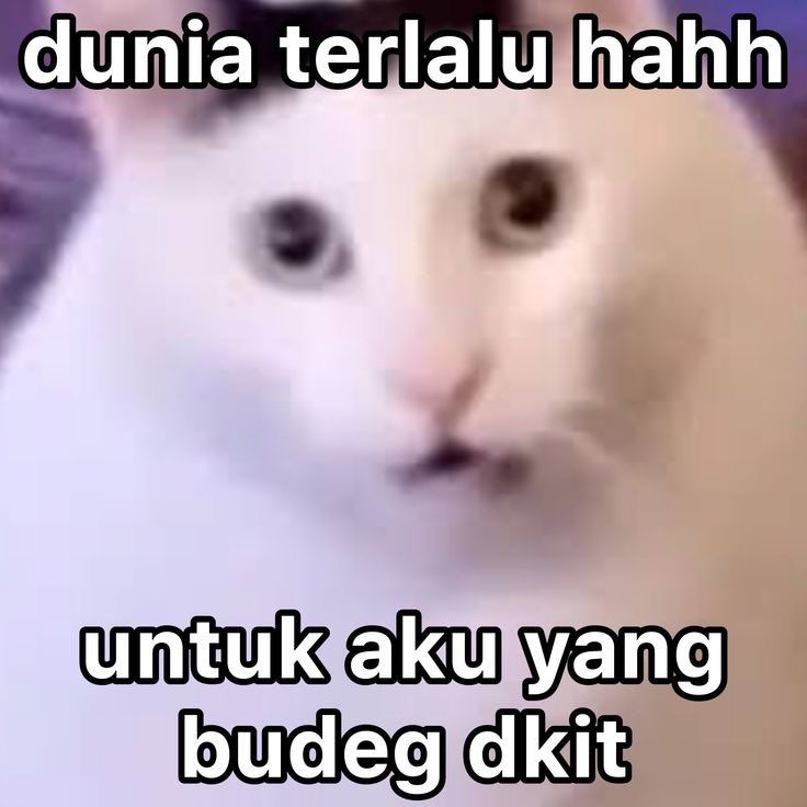 PP